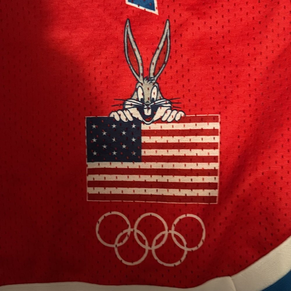 Team USA Red Men's Shorts - Picture 2 of 6